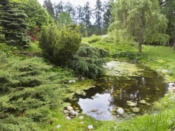 Arborétum - Liptovský Hrádok